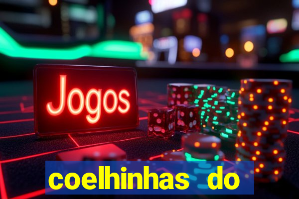 coelhinhas do brasil recife